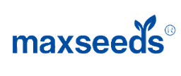 Max Seeds logo